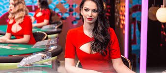 Roulette wheel at Nolimit City on sari4d login